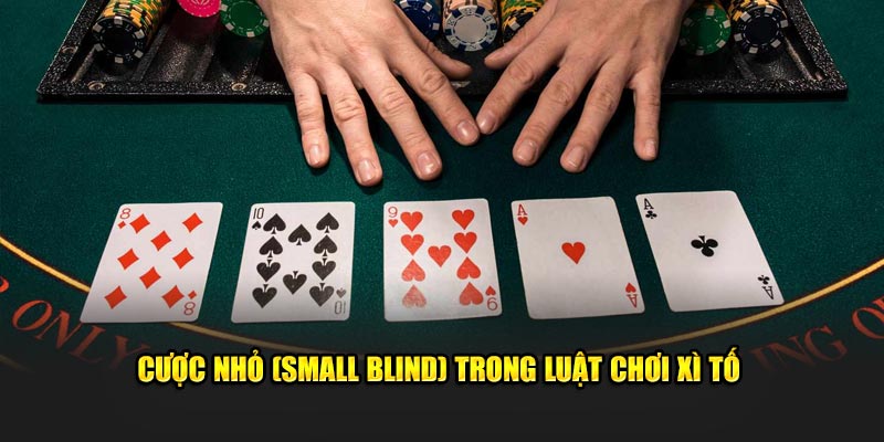 Cược nhỏ (Small Blind) trong luật chơi xì tố